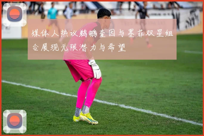 媒体人热议鹈鹕奎因与墨菲双星组合展现无限潜力与希望