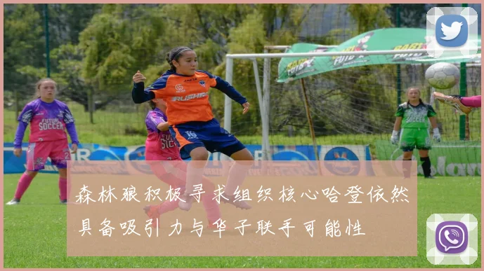 森林狼积极寻求组织核心哈登依然具备吸引力与华子联手可能性