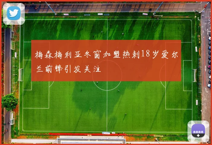 梅森梅利亚冬窗加盟热刺18岁爱尔兰前锋引发关注