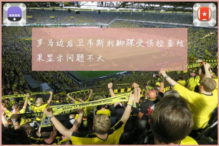 罗马边后卫韦斯利脚踝受伤检查结果显示问题不大