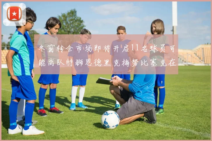 冬窗转会市场即将开启11名球员可能离队特狮恩德里克梅努比塞克在列