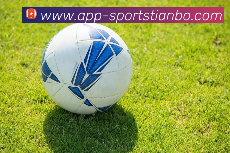 天博体育APP 封面图